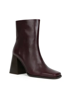 Wilma